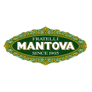 mantova